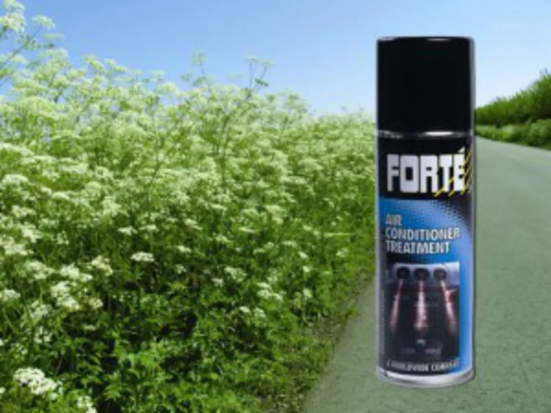 Forte spray voertuig met airco
